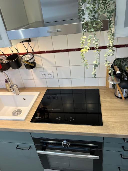 Adorable Appartement Strasbourg Neudorf Parking Sous Sol Dış mekan fotoğraf
