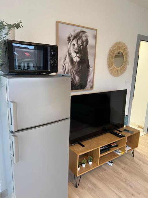 Adorable Appartement Strasbourg Neudorf Parking Sous Sol Dış mekan fotoğraf